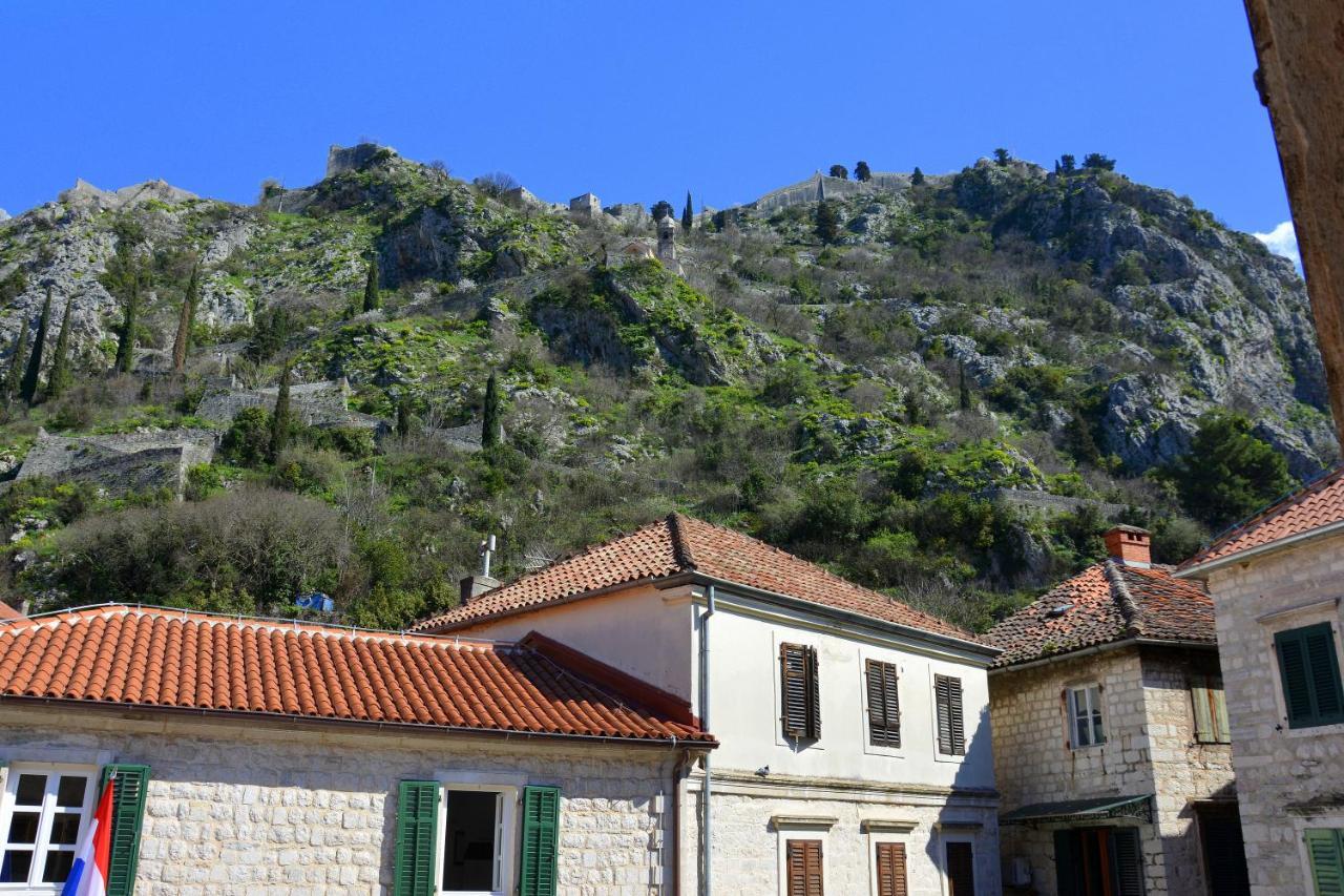 Montenegro Backpackers Home Kotor Exteriér fotografie